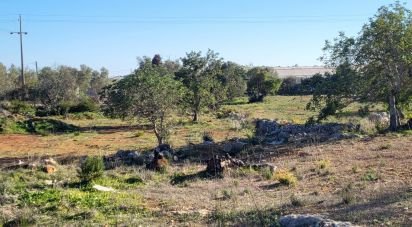 Terrain agricole à Quelfes de 18 329 m²