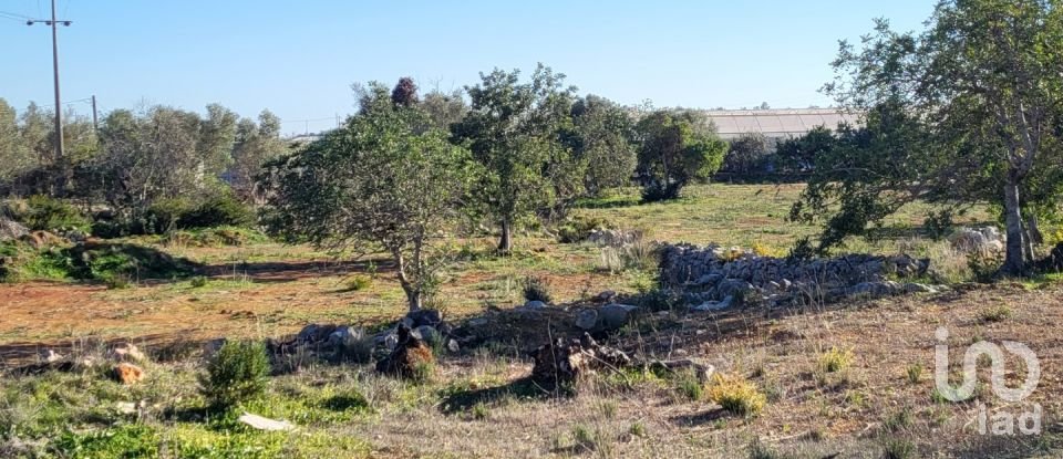 Agricultural land in Quelfes of 18,329 m²
