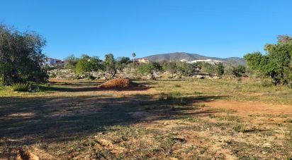 Terrain agricole à Quelfes de 18 329 m²