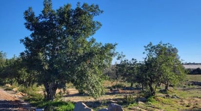 Terrain agricole à Quelfes de 18 329 m²