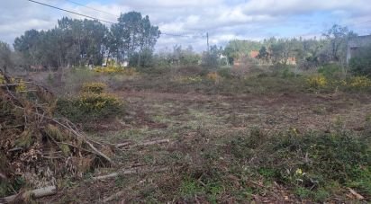 Building plot in Guia, Ilha e Mata Mourisca of 5,930 m²