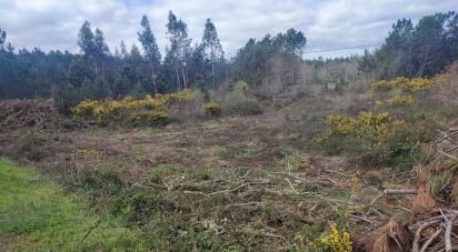 Building plot in Guia, Ilha e Mata Mourisca of 5,930 m²