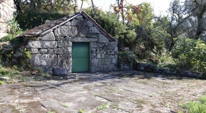 Maison rustique T4 à Vilar de Ferreiros de 240 m²