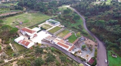 Ferme T6 à Chamusca e Pinheiro Grande de 400 m²