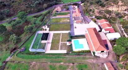 Farm T6 in Chamusca e Pinheiro Grande of 400 m²