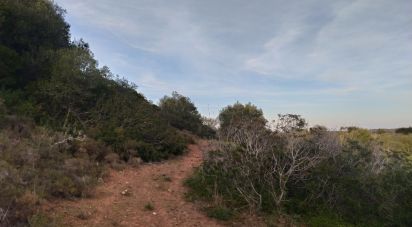 Terrain Loisirs à Barão de São Miguel de 12 000 m²