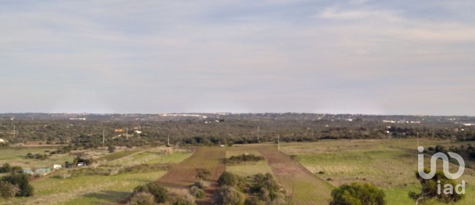 Terreno de Lazer em Barão de São Miguel de 12 000 m²