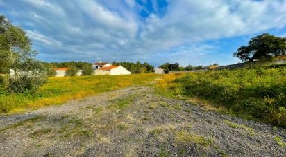 Terrain à bâtir à Monte Redondo e Carreira de 4 000 m²