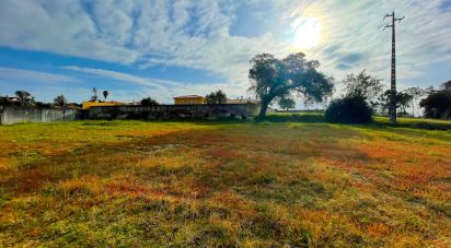 Terrain à bâtir à Monte Redondo e Carreira de 4 000 m²