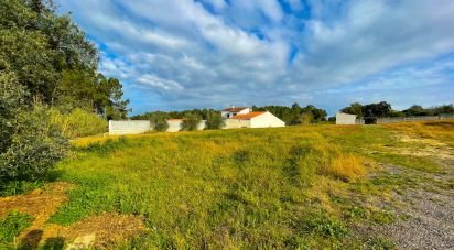 Terrain à bâtir à Monte Redondo e Carreira de 4 000 m²
