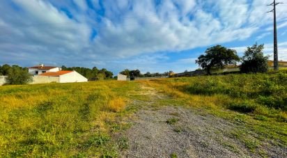 Terrain à bâtir à Monte Redondo e Carreira de 4 000 m²