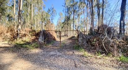 Land in Santa Maria da Feira, Travanca, Sanfins e Espargo of 132,787 m²