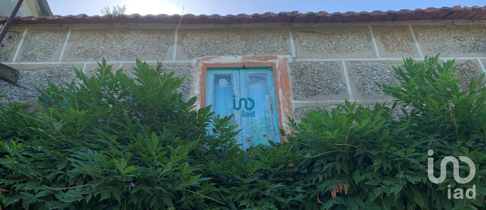 House T3 in Várzea, Aliviada e Folhada of 200 m²