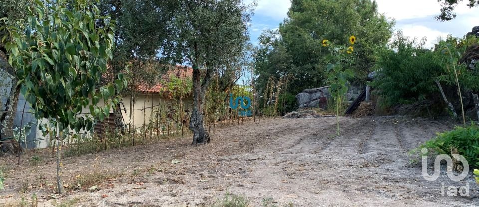 House T3 in Várzea, Aliviada e Folhada of 200 m²