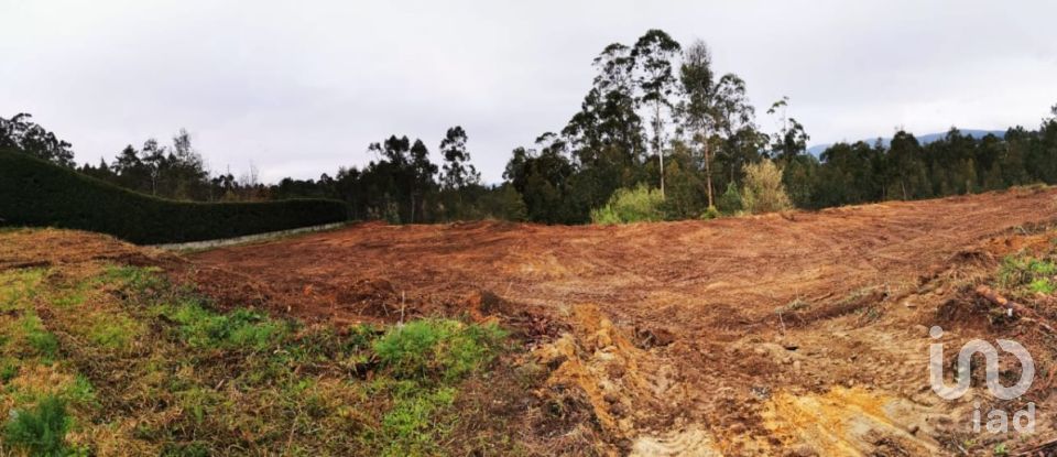 Terreno para construção em Reboreda e Nogueira de 1 216 m²