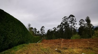 Building land in Reboreda e Nogueira of 1,057 sq m