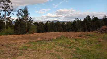 Terreno para construção em Reboreda e Nogueira de 1 057 m²