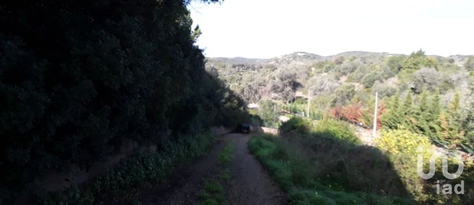 Land in Mexilhoeira Grande of 5,750 m²