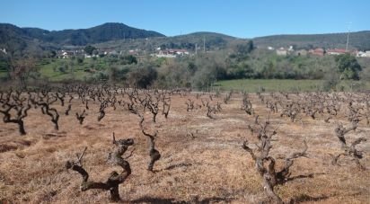 Maison T4 à Pousaflores de 542 m²