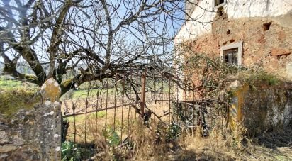 Maison T4 à Pousaflores de 542 m²