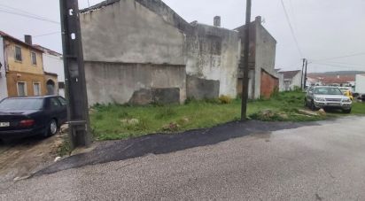 Terrain à bâtir à Alcobaça e Vestiaria de 225 m²