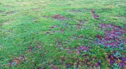 Terrain à bâtir à Cervães de 2 600 m²