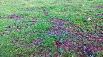 Terrain à bâtir à Cervães de 2 600 m²