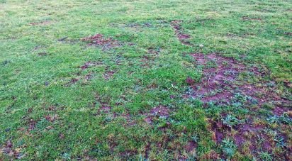 Terrain à bâtir à Cervães de 2 600 m²