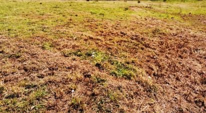 Terrain à bâtir à Cervães de 2 600 m²