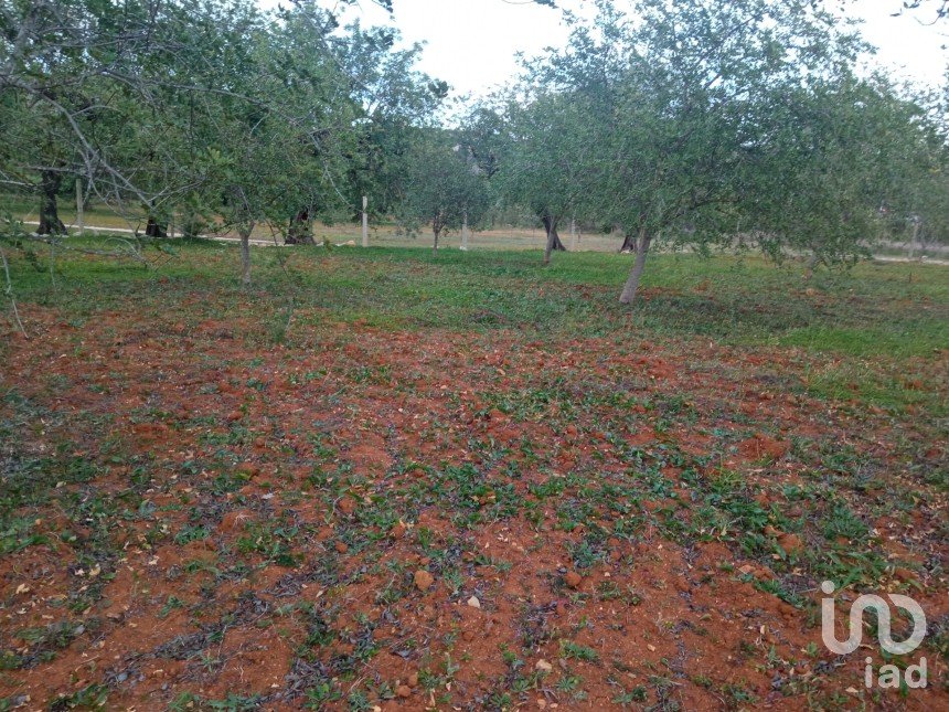 Land in Boliqueime of 2,100 m²