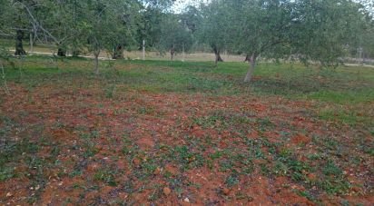 Terrain à Boliqueime de 2 100 m²