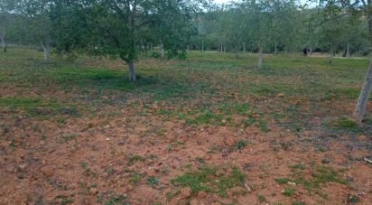 Terrain à Boliqueime de 2 100 m²