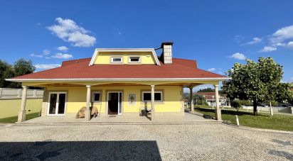 Casa / Villa T5 em Silvares, Pias, Nogueira e Alvarenga de 345 m²