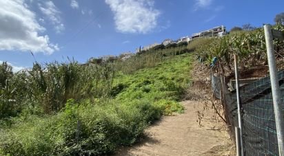 Terrain à Funchal (Santa Maria Maior) de 5 090 m²