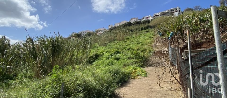 Terrain à Funchal (Santa Maria Maior) de 5 090 m²