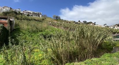 Terrain à Funchal (Santa Maria Maior) de 5 090 m²