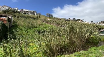 Land in Funchal (Santa Maria Maior) of 5,090 sq m