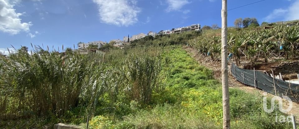 Terreno em Funchal (Santa Maria Maior) de 5 090 m²