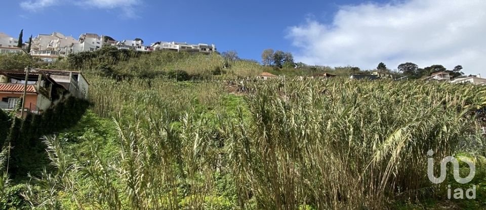Terreno em Funchal (Santa Maria Maior) de 5 090 m²