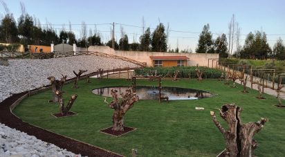 House T4 in São Pedro de Tomar of 238 m²