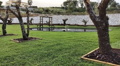 Maison T4 à São Pedro de Tomar de 238 m²