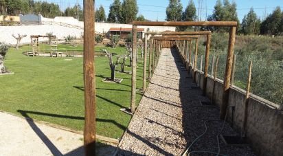 Maison T4 à São Pedro de Tomar de 238 m²