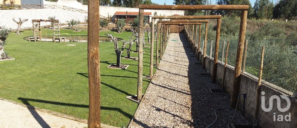 Maison T4 à São Pedro de Tomar de 238 m²