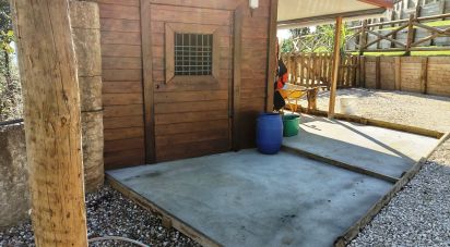 House T4 in São Pedro de Tomar of 238 m²