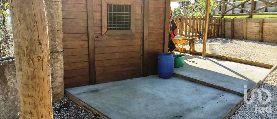 Maison T4 à São Pedro de Tomar de 238 m²