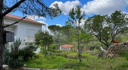 House T5 in Cernache of 328 m²