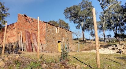 Terrain à Pedrógão Pequeno de 1 240 m²