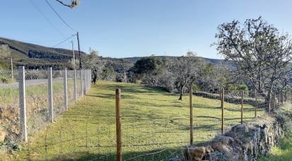 Terrain à Pedrógão Pequeno de 1 240 m²