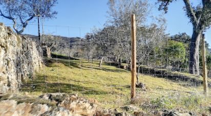 Terrain à Pedrógão Pequeno de 1 240 m²