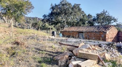 Terrain à Pedrógão Pequeno de 1 240 m²